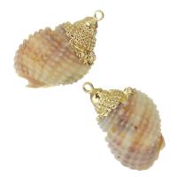 Brass Shell Pendants, with Shell, gold color plated, fashion jewelry, 17-18x25-27x15-16mm Approx 1.5mm 