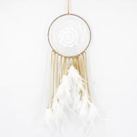 Fashion Dream Catcher, Iron, with Feather, handmade, for home and office & durable, white 