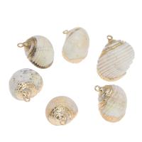 Brass Shell Pendants, with Brass, Conch, gold color plated, white Approx 3mm, Approx 
