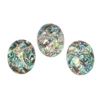 Abalone Shell Pendants, with Black Shell, DIY Approx 1mm, Approx 