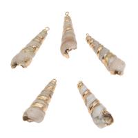 Brass Shell Pendants, with Brass, gold color plated Approx 2mm, Approx 
