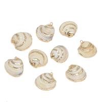 Brass Shell Pendants, with Brass, gold color plated, white Approx 2mm, Approx 
