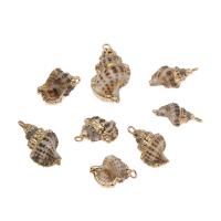 Brass Shell Pendants, with Brass, Conch, gold color plated Approx 2mm, Approx 