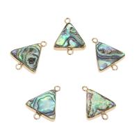 Abalone Shell Connector, with Brass, Triangle, gold color plated, 1/1 loop Approx 2mm, Approx 