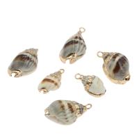 Brass Shell Pendants, with Brass, Conch, gold color plated Approx 2mm, Approx 