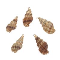 Brass Shell Pendants, with Brass, Conch, gold color plated, 29*14*14mm-35*17*17mm Approx 2mm, Approx 