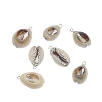 Brass Shell Pendants, with Brass, platinum color plated, white Approx 2mm, Approx 