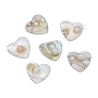 Concha de perla colgante, con metal, Corazón Aplanada, chapado en color de platina, Blanco, 21x19x4mm, agujero:aproximado 2mm, aproximado 10PCs/Bolsa, Vendido por Bolsa
