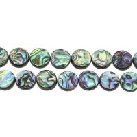 Abalone Shell Beads, Flat Round Approx 1mm Approx 14.9 Inch 