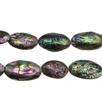 Abalone Shell Beads, DIY, 30*29*9mm-40*23*13mm Approx 1mm Approx 14.9 Inch 