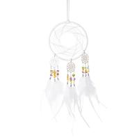 Fashion Dream Catcher, Iron, with Feather & Resin & Zinc Alloy, handmade 