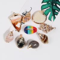 Shell Pendant, gold-filled, fashion jewelry & DIY 