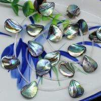 Abalone Shell Beads, Teardrop, Carved, fashion jewelry & DIY Approx 1mm 