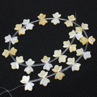 Natural White Shell Beads, Bowknot, cute & fashion jewelry Approx 1mm 