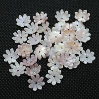 White Shell Bead Cap, Flower, cute & fashion jewelry 10mm Approx 1mm 