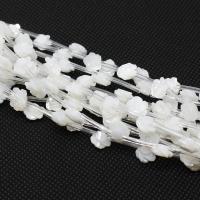 Natural White Shell Beads, Flower, fashion jewelry white, 8mm Approx 1mm 