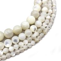 Weiße Lippenschale Perlen, rund, Modeschmuck & verschiedene Größen vorhanden, weiß, Bohrung:ca. 1mm, Länge:ca. 14.9 ZollInch, verkauft von Strang