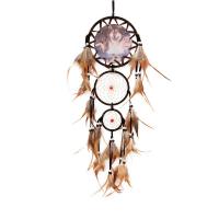 Fashion Dream Catcher, ABS Plastic, with Feather, for home and office 700-750mm,160mm 