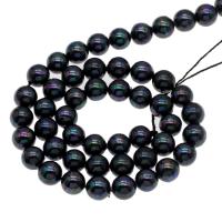 South Sea Shell Beads, Round black Approx 1mm Approx 14.9 Inch 