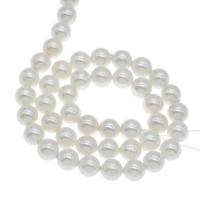 South Sea Shell Beads, Round white Approx 1mm Approx 14.9 Inch 
