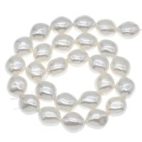 South Sea Shell Beads, Rhombus, DIY, white Approx 1mm Approx 14.9 Inch, Approx 