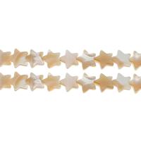 South Sea Shell Beads, Flat Star, DIY Approx 1mm Approx 14.9 Inch, Approx 
