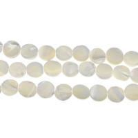 South Sea Shell Beads, Flat Round, DIY, white Approx 1mm Approx 14.9 Inch, Approx 