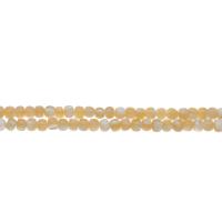 South Sea Shell Beads, Column, DIY 5*4mm Approx 1mm Approx 14.9 Inch, Approx 