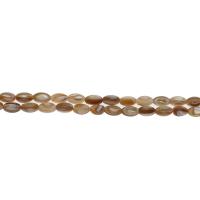 South Sea Shell Beads, Olive Approx 1mm Approx 14.9 Inch 
