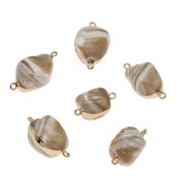 South Sea Shell Connector, with Brass, Baroque, gold color plated, fashion jewelry & DIY & 1/1 loop, coffee color, 20*15mm-19*20mm Approx 1mm 