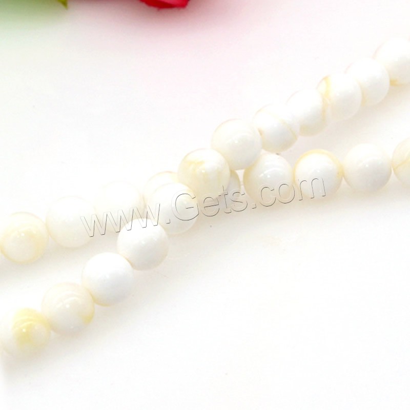 Seashell Beads, Natural Seashell, Round, polished, DIY & different size for choice, white, Length:Approx 15 Inch, Sold By Strand