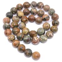 Kambaba Jasper Beads, Jasper Kambaba, Round, polished, DIY  mixed colors Approx 15 Inch 