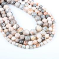Natural Bamboo Agate Beads, Zebra Jasper, Round pink Approx 1mm Approx 14.9 Inch 