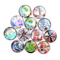 Mobile Phone DIY Decoration, Glass, Round, epoxy gel, random style mixed colors, 18mm 