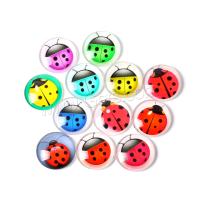 Mobile Phone DIY Decoration, Glass, Round, epoxy gel, random style & mixed pattern mixed colors, 18mm 