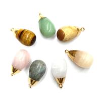 Mixed Gemstone Pendants, Labradorite, with Tiger Eye & Jade Yellow & Green Aventurine & Crazy Agate & Rose Quartz, Unisex 