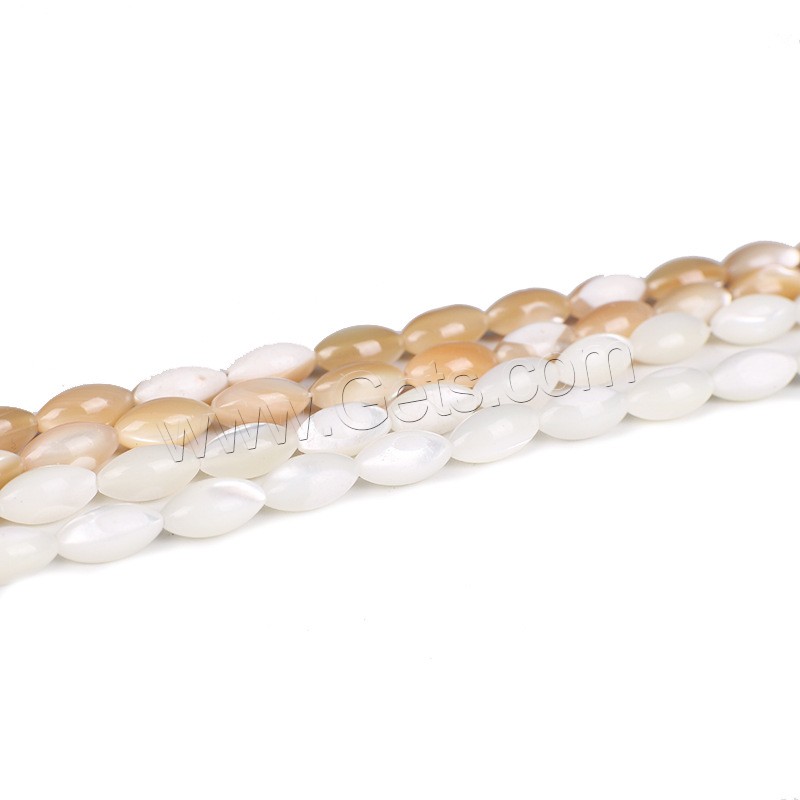 Turbanschnecken Perlen, mit Seedbead, verschiedene Größen vorhanden, keine, Länge:ca. 14 ZollInch, verkauft von Strang