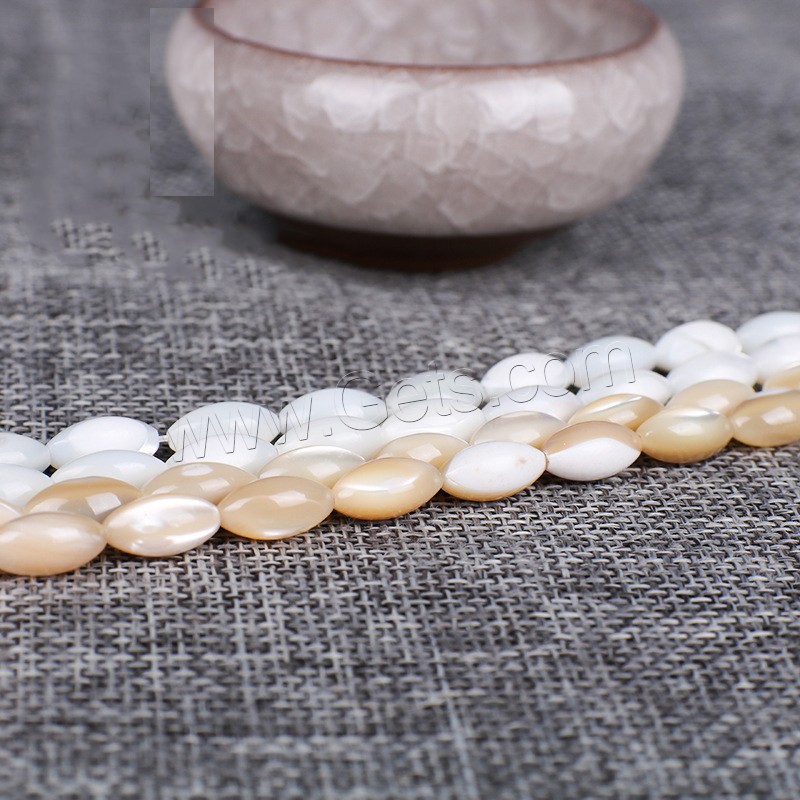 Trochus perles, Haut Coque, avec Seedbead, normes différentes pour le choix, plus de couleurs à choisir, Longueur:Environ 14 pouce, Vendu par brin