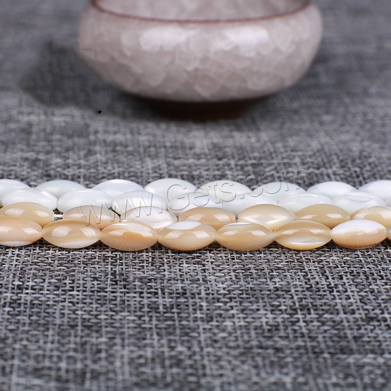 Trochus perles, Haut Coque, avec Seedbead, normes différentes pour le choix, plus de couleurs à choisir, Longueur:Environ 14 pouce, Vendu par brin