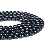 Black Shell Beads, Round, polished multi-colored Approx 15 Inch 