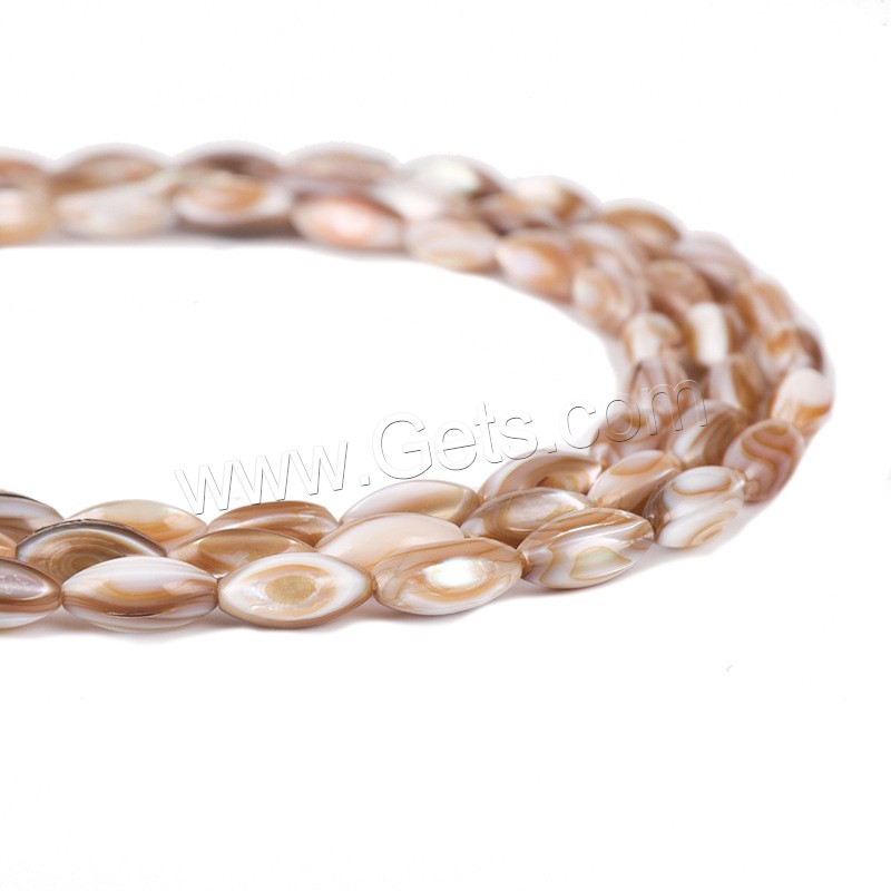 Seashell Beads, Brown Lip Shell, with Seedbead, polished, different size for choice, Length:Approx 14 Inch, Sold By Strand