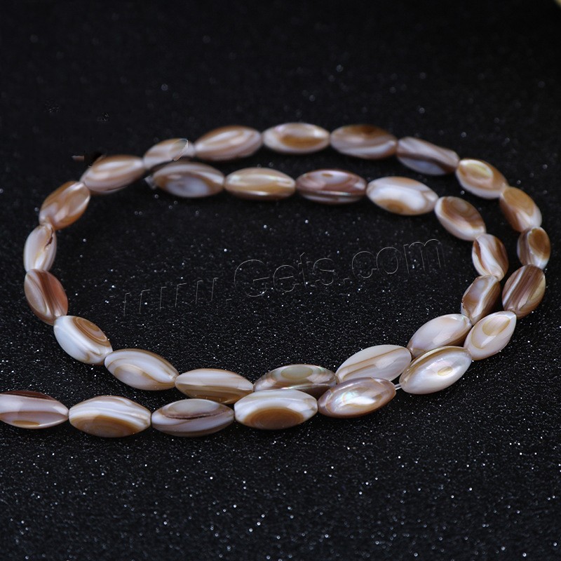 Seashell Beads, Brown Lip Shell, with Seedbead, polished, different size for choice, Length:Approx 14 Inch, Sold By Strand