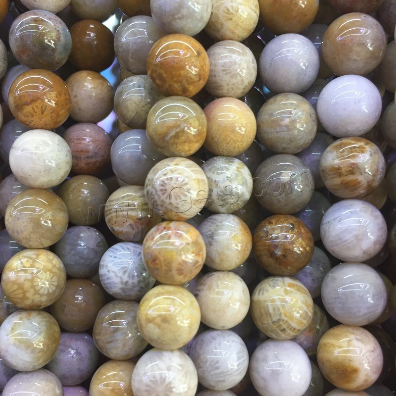 Fossil Korallen Perle, verschiedene Größen vorhanden, Länge:ca. 15 ZollInch, verkauft von PC