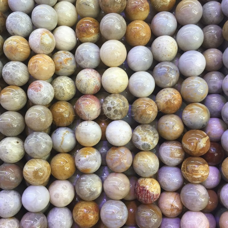 Fossil Korallen Perle, verschiedene Größen vorhanden, Länge:ca. 15 ZollInch, verkauft von PC