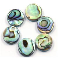Abalone Shell Beads, Flat Round, DIY 