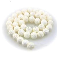 Trumpet Shell Beads white, 390mm 