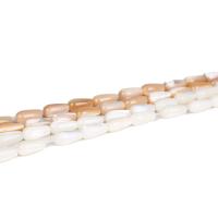 Turbanschnecken Perlen, DIY & verschiedene Größen vorhanden, keine, Länge:ca. 15 ZollInch, verkauft von Strang