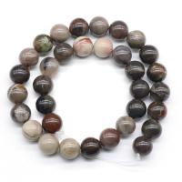 Silicified Wood Beads, Round, polished, DIY Approx 15.7 Inch 