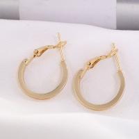 Zinc Alloy Leverback Earring, fashion jewelry & for woman, gold 
