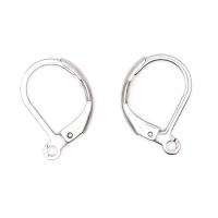 Stainless Steel Drop Earring, fashion jewelry & for woman 